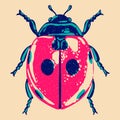 Ladybug. Colorful cute screen printing effect. Riso print effect. Vector